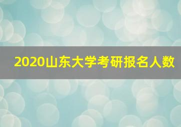 2020山东大学考研报名人数