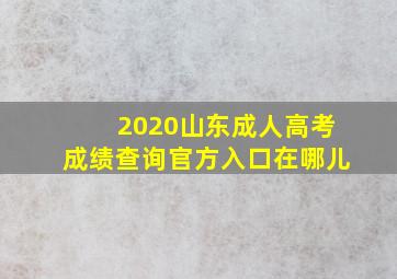 2020山东成人高考成绩查询官方入口在哪儿