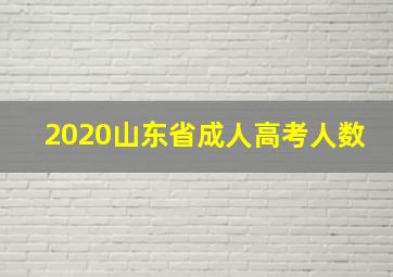 2020山东省成人高考人数