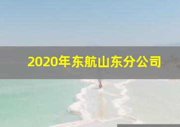 2020年东航山东分公司