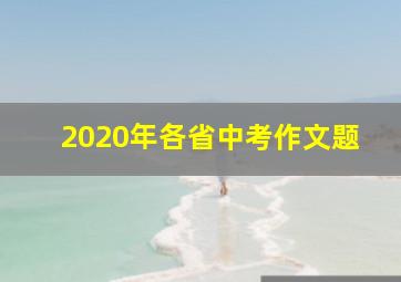 2020年各省中考作文题