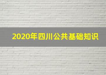 2020年四川公共基础知识