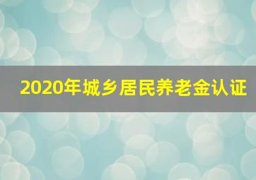 2020年城乡居民养老金认证