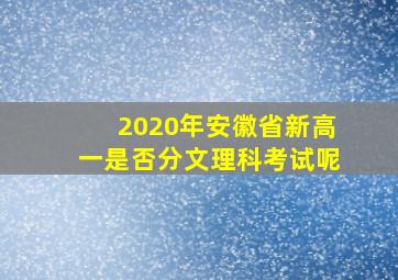 2020年安徽省新高一是否分文理科考试呢