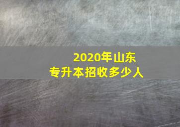 2020年山东专升本招收多少人