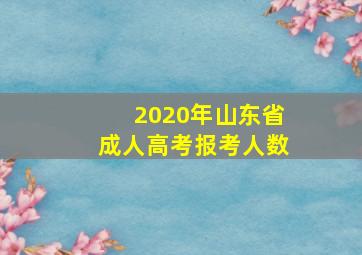 2020年山东省成人高考报考人数