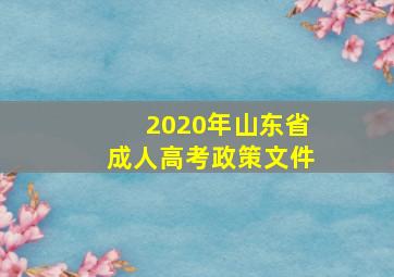 2020年山东省成人高考政策文件