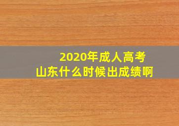 2020年成人高考山东什么时候出成绩啊