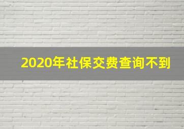 2020年社保交费查询不到