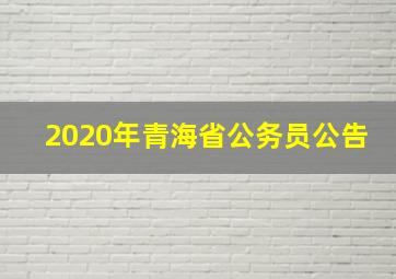 2020年青海省公务员公告