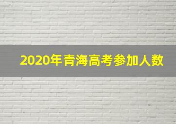 2020年青海高考参加人数