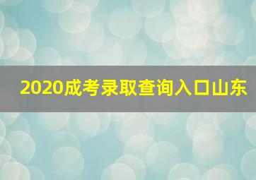 2020成考录取查询入口山东