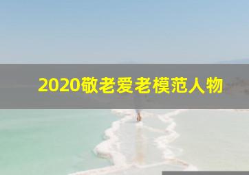 2020敬老爱老模范人物