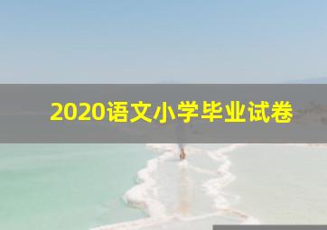 2020语文小学毕业试卷