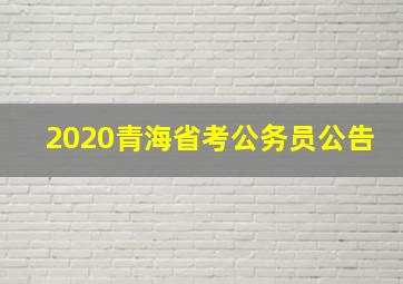 2020青海省考公务员公告