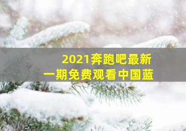 2021奔跑吧最新一期免费观看中国蓝