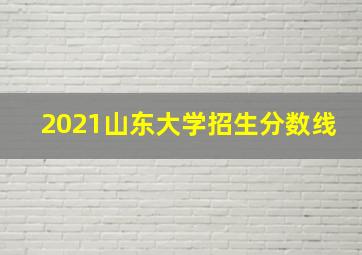 2021山东大学招生分数线