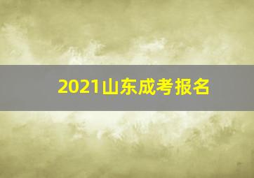 2021山东成考报名