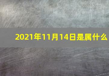 2021年11月14日是属什么