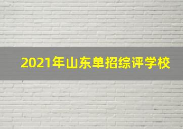 2021年山东单招综评学校