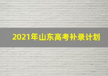 2021年山东高考补录计划