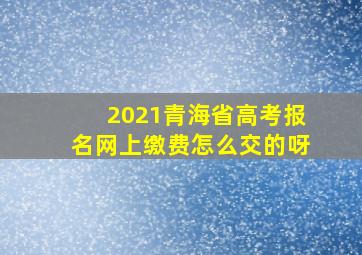 2021青海省高考报名网上缴费怎么交的呀