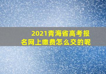 2021青海省高考报名网上缴费怎么交的呢