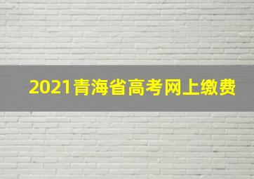 2021青海省高考网上缴费