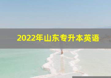 2022年山东专升本英语