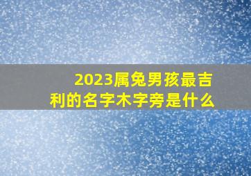 2023属兔男孩最吉利的名字木字旁是什么