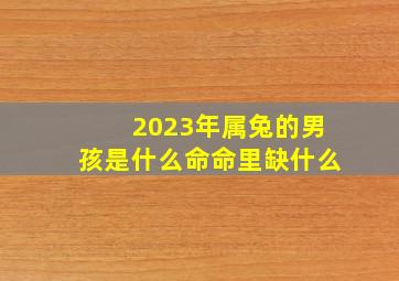 2023年属兔的男孩是什么命命里缺什么