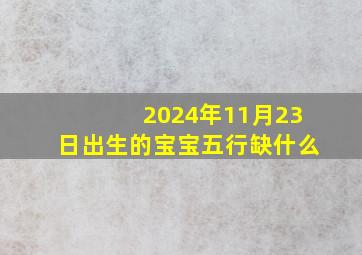 2024年11月23日出生的宝宝五行缺什么