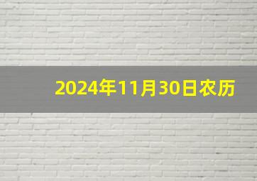 2024年11月30日农历