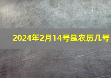 2024年2月14号是农历几号