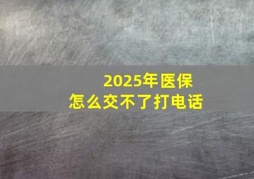 2025年医保怎么交不了打电话