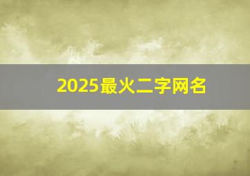 2025最火二字网名