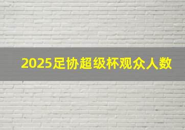 2025足协超级杯观众人数