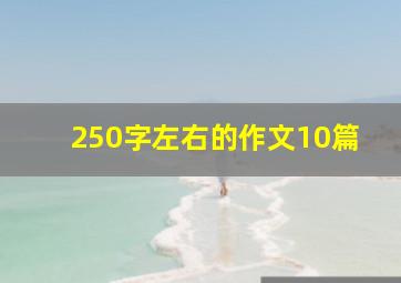 250字左右的作文10篇