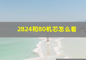 2824和80机芯怎么看