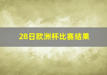 28日欧洲杯比赛结果