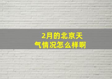 2月的北京天气情况怎么样啊