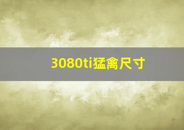 3080ti猛禽尺寸