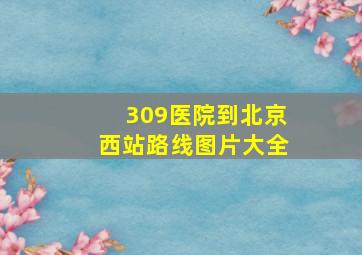 309医院到北京西站路线图片大全