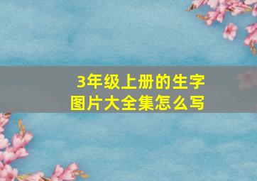 3年级上册的生字图片大全集怎么写