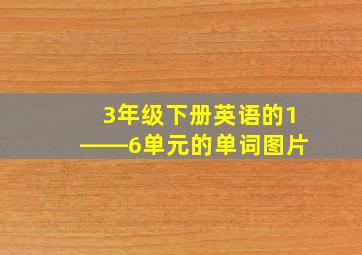 3年级下册英语的1――6单元的单词图片