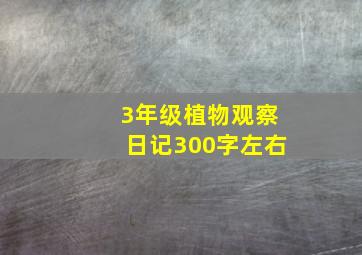 3年级植物观察日记300字左右