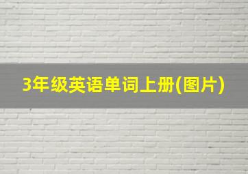 3年级英语单词上册(图片)