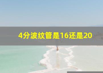 4分波纹管是16还是20