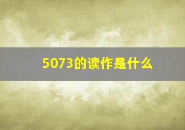 5073的读作是什么