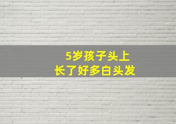 5岁孩子头上长了好多白头发